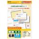 サンワサプライ マルチタイプ名刺カード 特厚 JP-MCM08N
