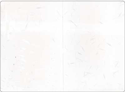 画像1: 大礼紙２折りカード（印刷・手書き用） (1)
